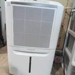 Dehumidifier Frigidaire Gallery
