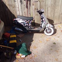 Wolf Lucky 2 Scooter 