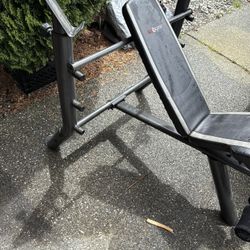 Olympic Weights Bench Press  Olympic 