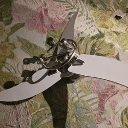 Ceiling fan with Light Fixture