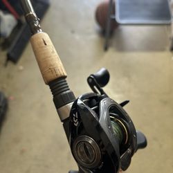 Diawa Fishing Real And Rod 