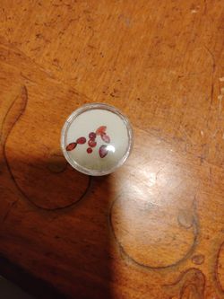 Common red garnets