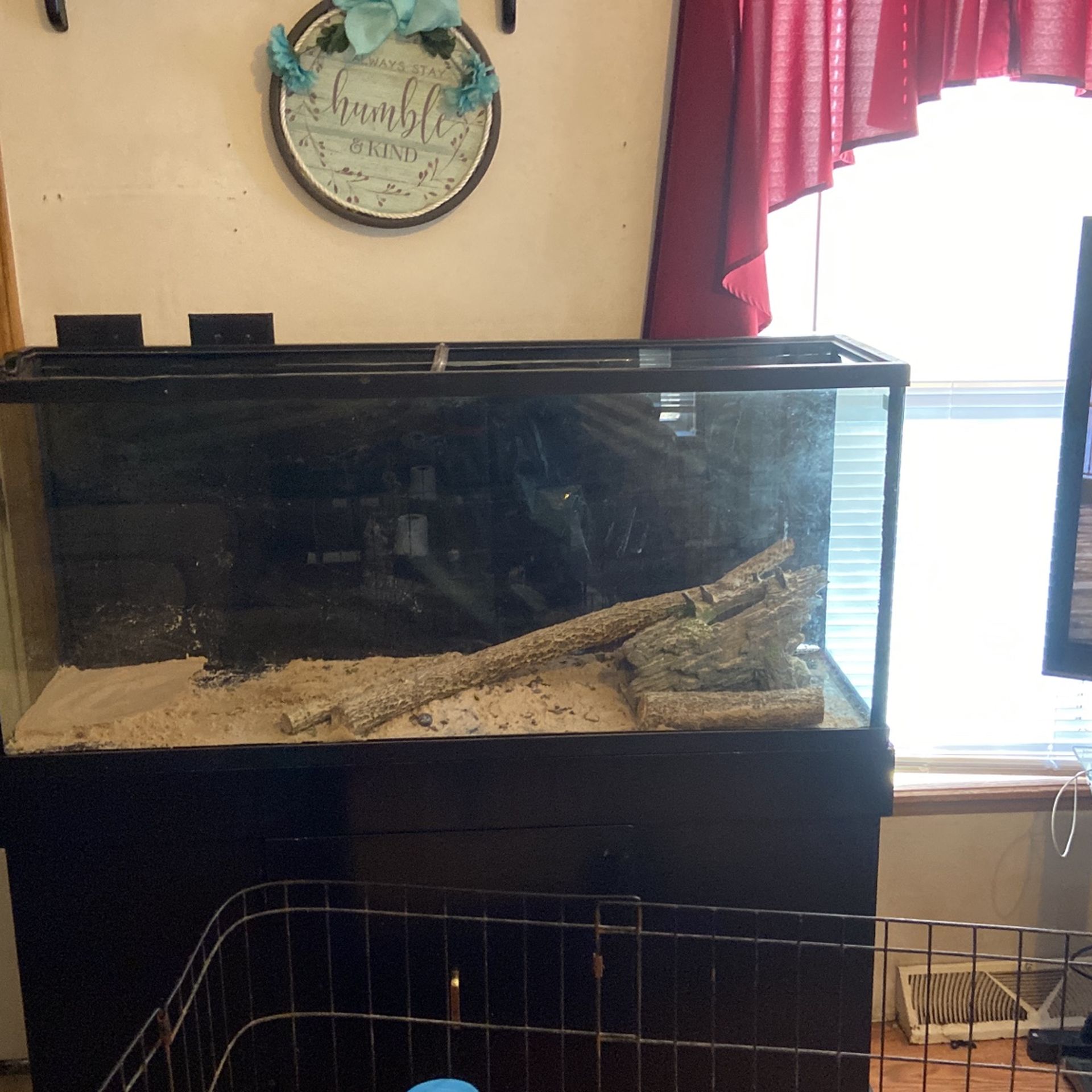 55 Gal Tank And Stand 