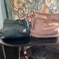 Michael Kors And Coach Handbags