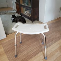 Bath Tub, Shower Seat