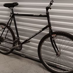 Tall guys & gals look: Diamondback Sorrento MTB project, 22" frame!