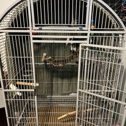 Bird Cage  ( In Limon Co)