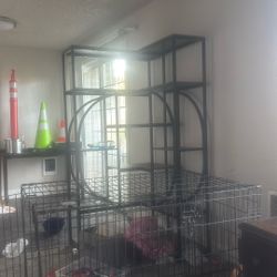 Chinese corner shelving