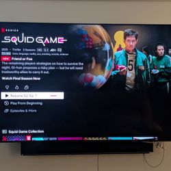 65" Vizio TV P Series 