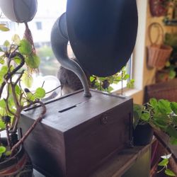Gramophone Acoustic Amplifier