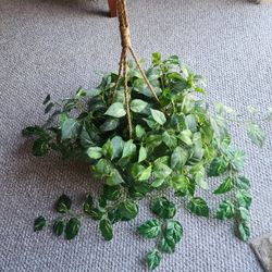 Beautiful Large Artificial Plant Hanging Basket 