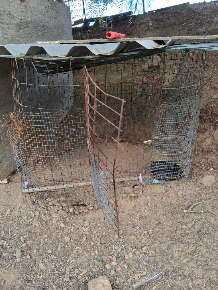 Rooster Cage