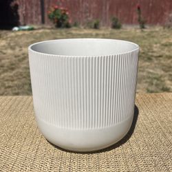 White Flower Pot Planter