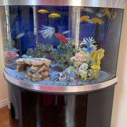 Fish Tank Complete 78 Gallon Everything Included Half Moon  Tank  