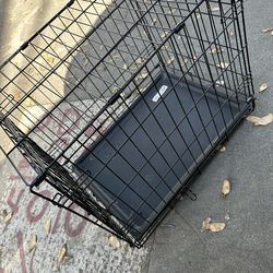 cage small 12-25 lbs