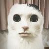 Kuroki