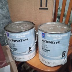 Epoxy Paint Sw