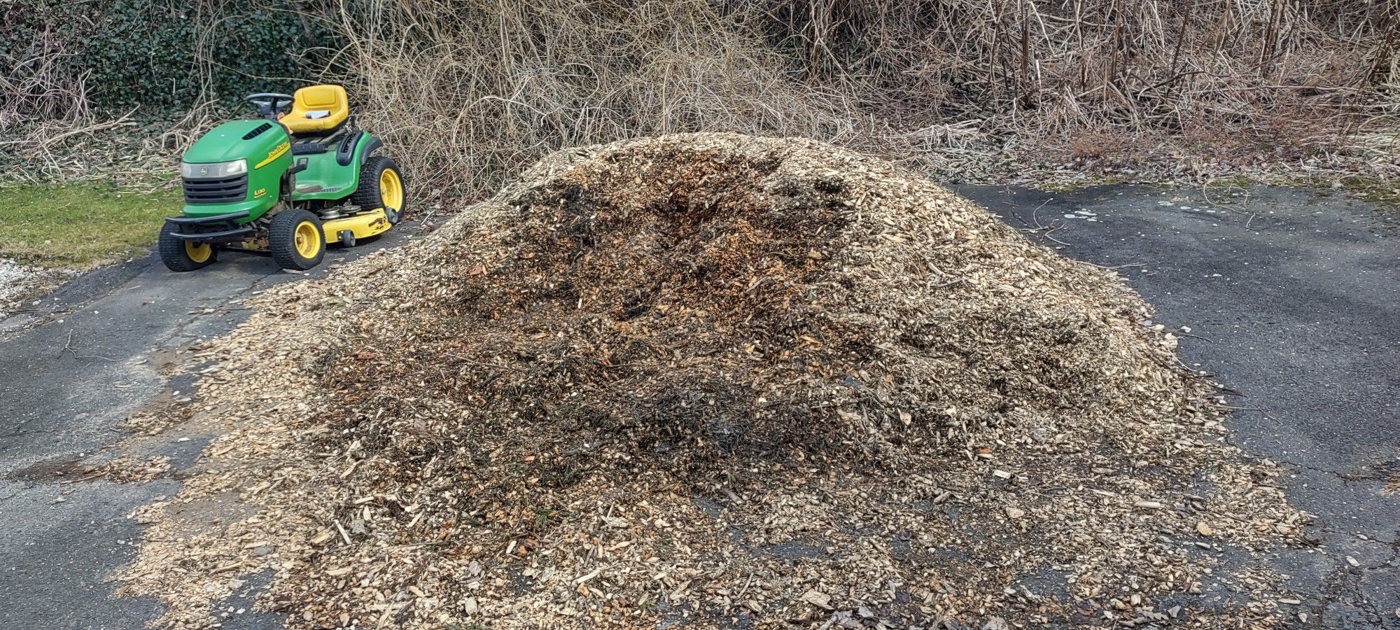 FREE! Pine Mulch - Pick Up Only