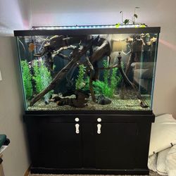 150 Gallon Tank & Stand