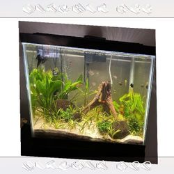 Fully-Loaded Aquarium Set - Dive into Underwater Beauty art mind