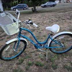 Electra Townie Bicycle