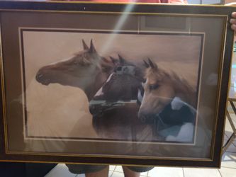 Horses