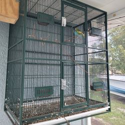 Bird Cage