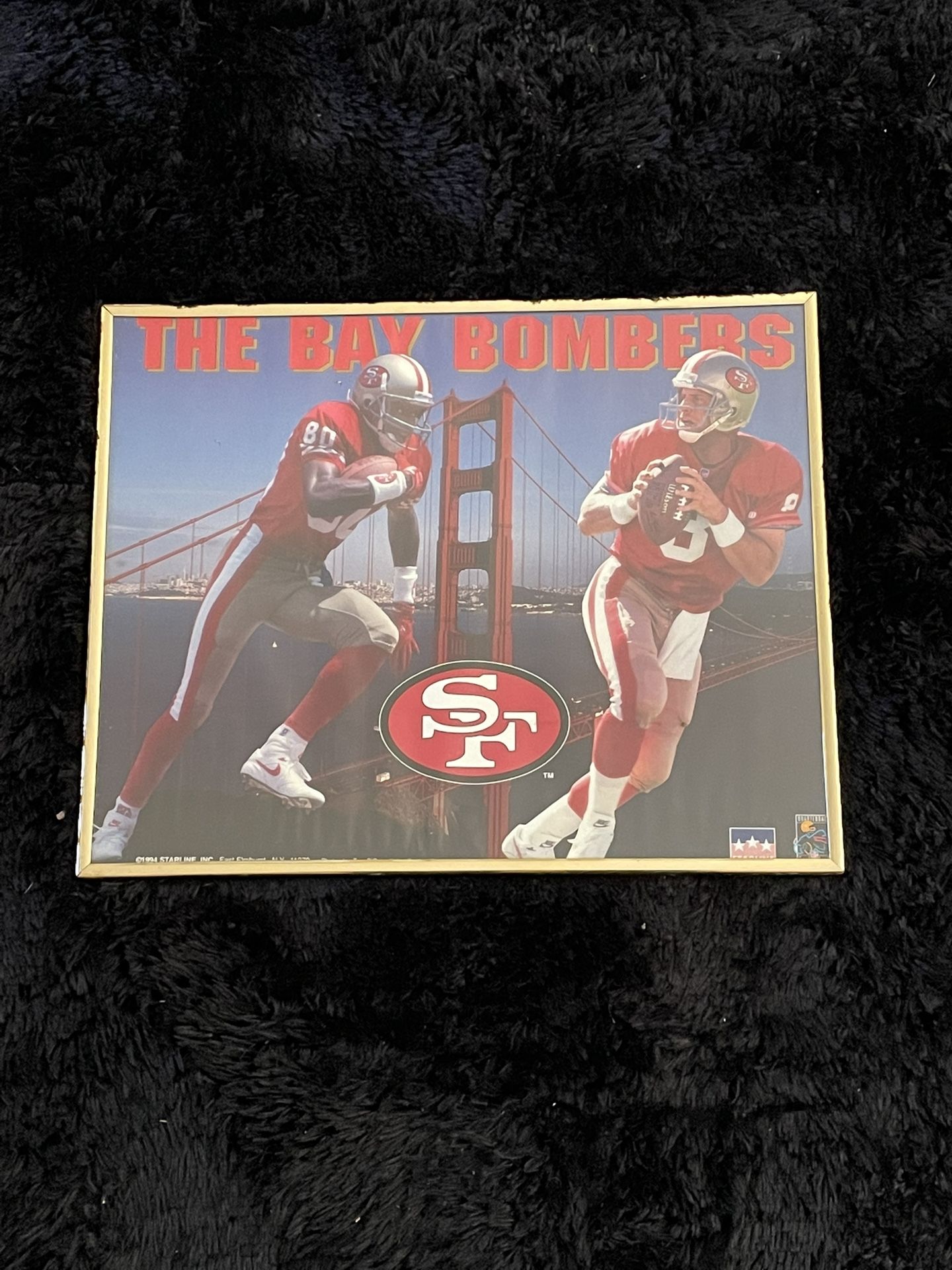 49 ERS framed Picture