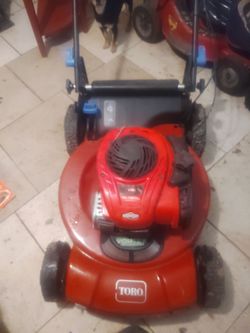 Se vende toro con transmission jalando al cien lista pal travajo no tiene bolsa prende rapido nada le duele