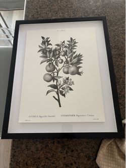 Wall Art Decor