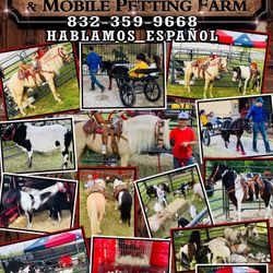 PONY RIDES & PETTING FARM 