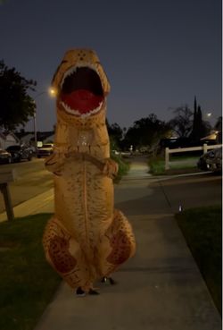 Dinosaur custom