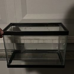 2 gallon fish tank