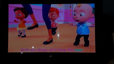 Zenith 55 Inch HDMI TV 