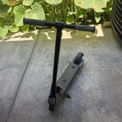 Gotrax Electric Scooter 