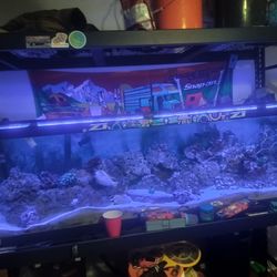 125 Gallon Reef Tank & Other Aquarium Equipment 