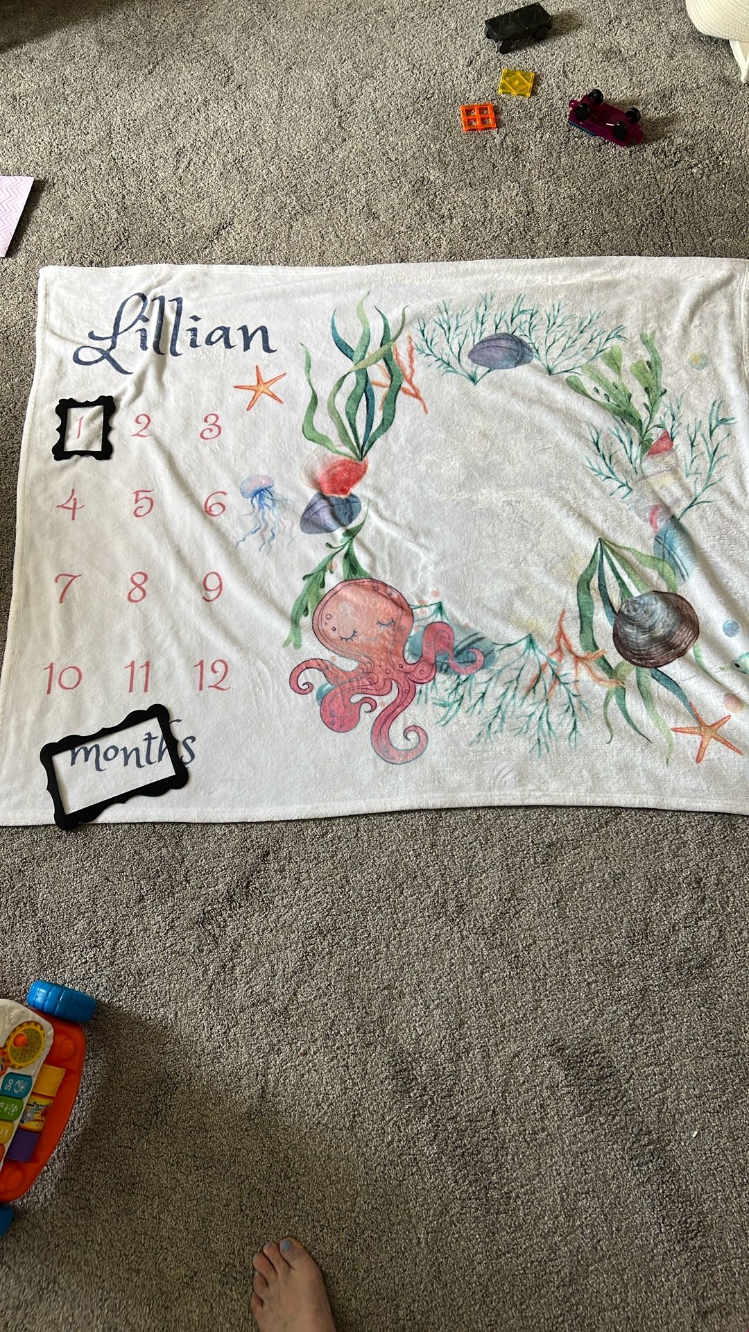 “Lillian” Baby Milestone Blanket