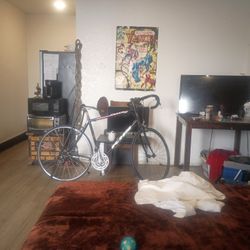 KHS Flite 223 Road bike 12 speed