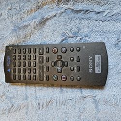 PS2 Remote