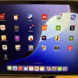 iPad Pro  (Latest Gen)