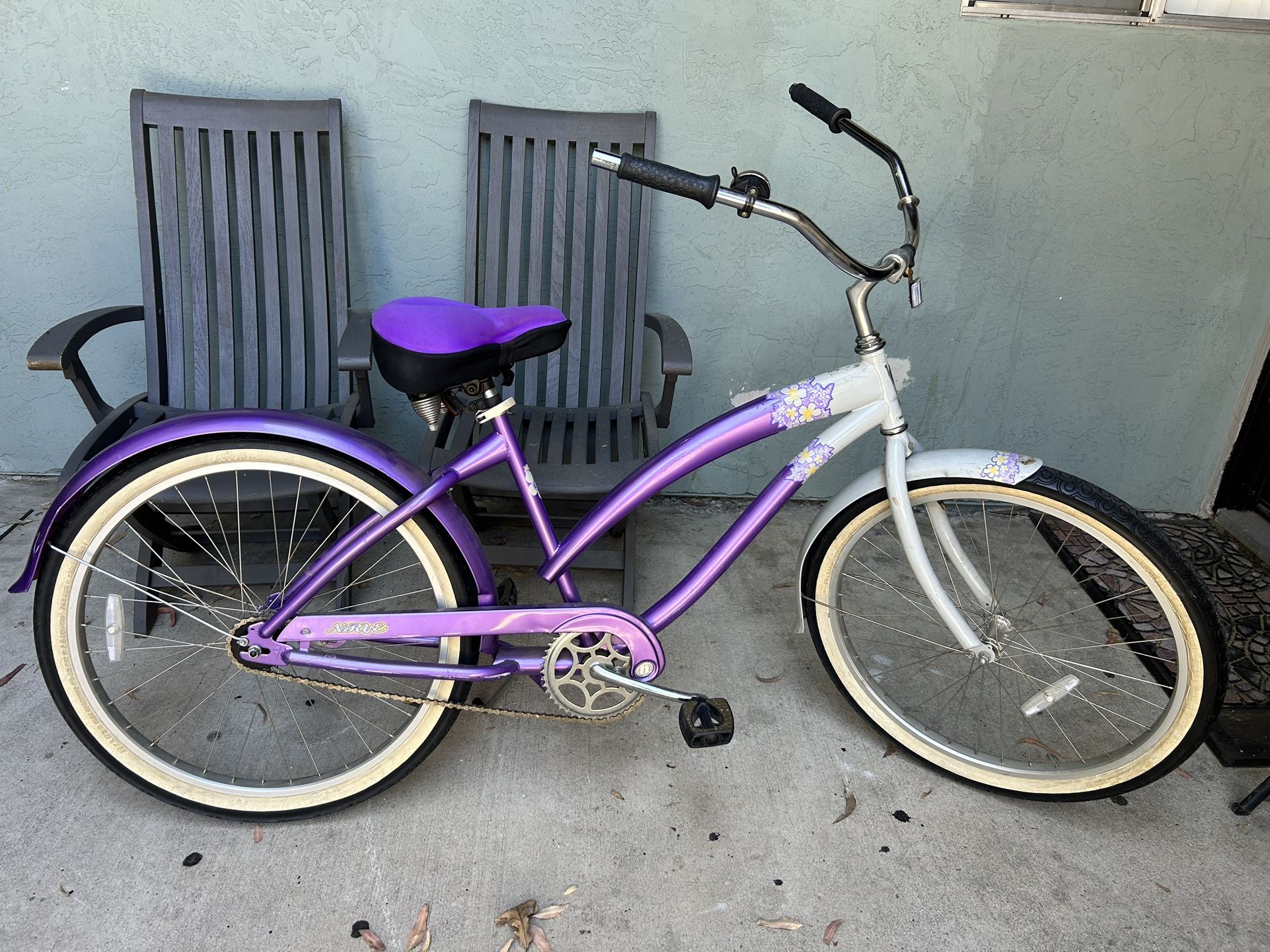 Bicycle beach cruiser