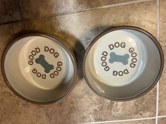Ceramic Dog Bowls
