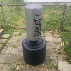 Everlast Freestanding Punching Bag