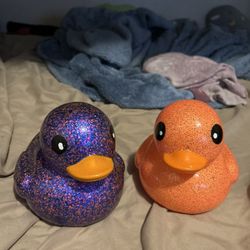 2 Large Ducks 
