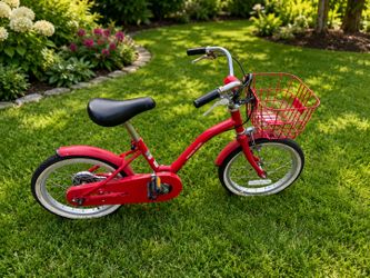Bike bicycle bicicleta 16in