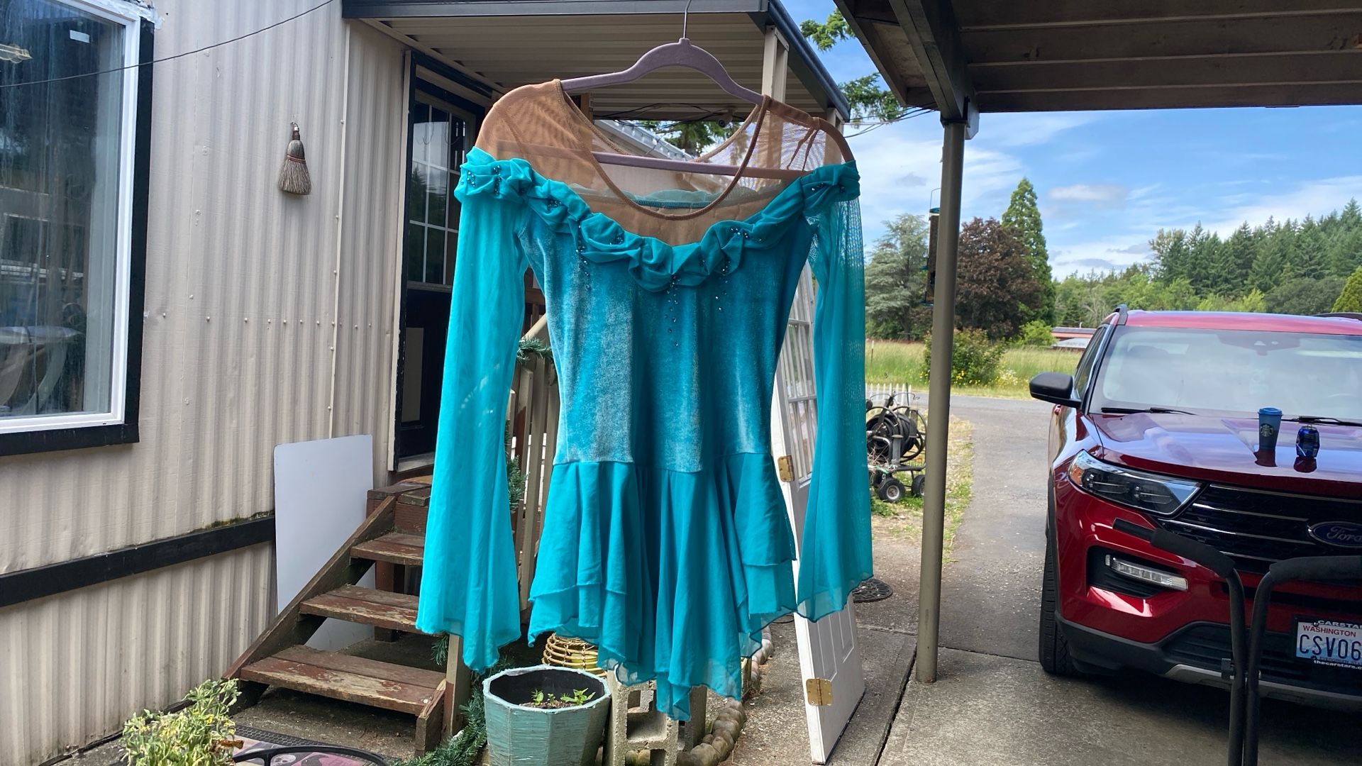 Skating Dress