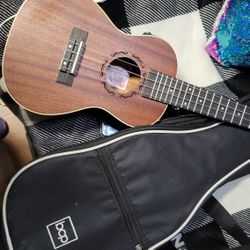 Ukulele 