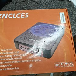 1200 Watt Max 10 Inch Under Seat Subwoofer 