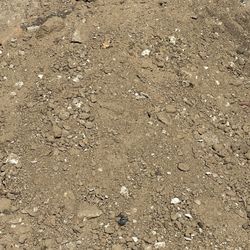 Free Dirt