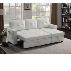 Pull Out Couch with Storage